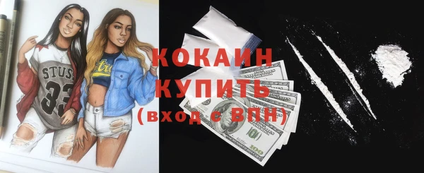 apvp Верея