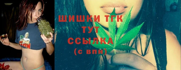 бошки Верхний Тагил