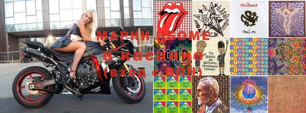 apvp Верея