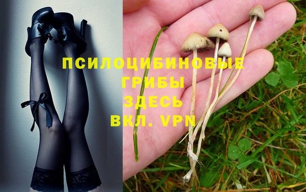 бошки Верхний Тагил