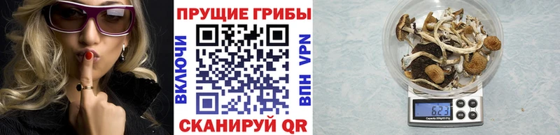 Галлюциногенные грибы Psilocybine cubensis  Купить  Воскресенск 